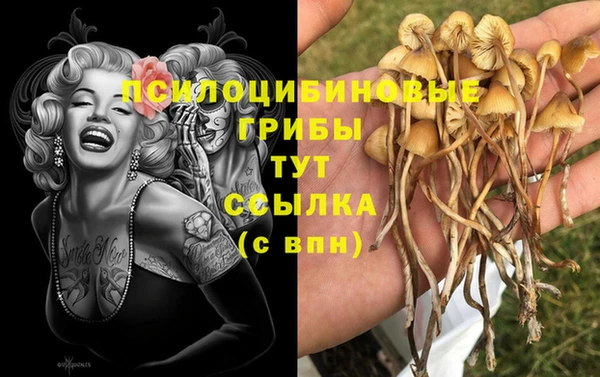 бутират Алексин