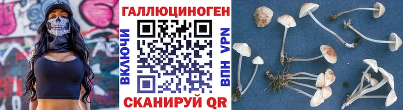 mega зеркало  где купить наркоту  Кирс  Галлюциногенные грибы GOLDEN TEACHER 